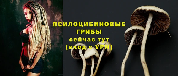 гашик Белокуриха