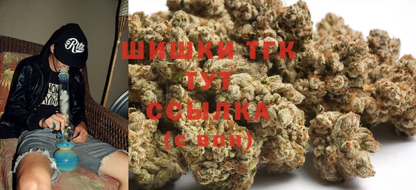 гашик Белокуриха