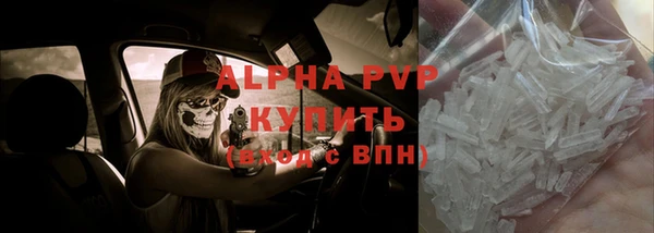гашик Белокуриха