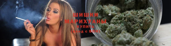 гашик Белокуриха