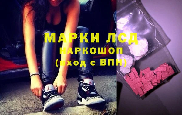 гашик Белокуриха