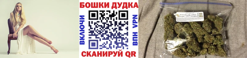 Конопля сатива Купино